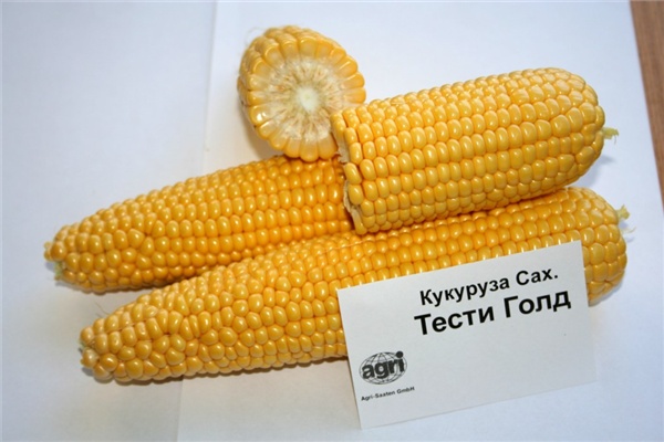 ����� ���� F1 / Testi Gold F1